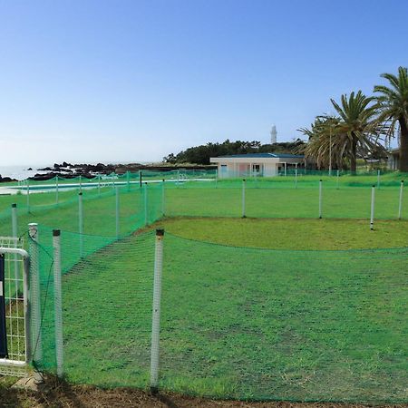 Shirahama Ocean Resort Chiba Ngoại thất bức ảnh